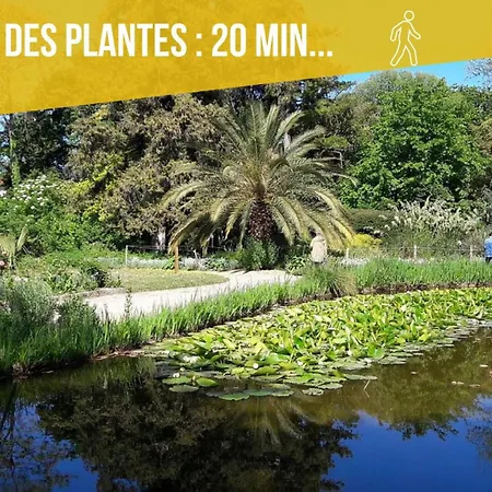 Amja Proche Clinique Saint-roch 3 3 Salles De Bain Parking Gratuit Ideal Famille Groupe Coworking 10 Min Centre 10 Min 5 Min Sortie Autoroute דירה