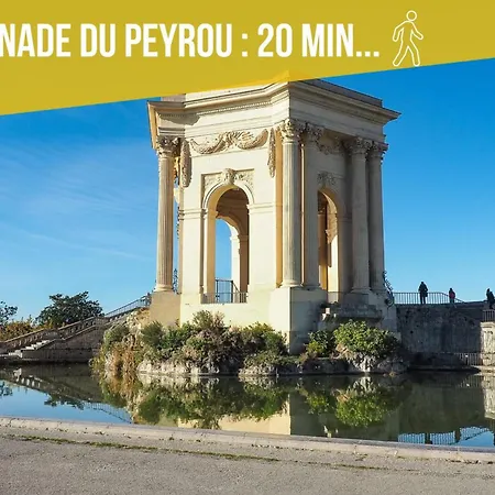 Amja Proche Clinique Saint-roch 3 3 Salles De Bain Parking Gratuit Ideal Famille Groupe Coworking 10 Min Centre 10 Min 5 Min Sortie Autoroute *