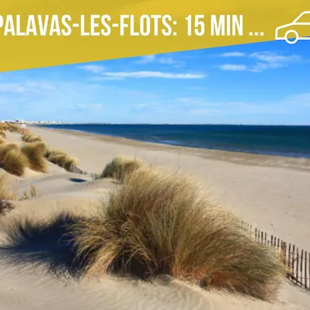 Amja Proche Clinique Saint-roch 3 3 Salles De Bain Parking Gratuit Ideal Famille Groupe Coworking 10 Min Centre 10 Min 5 Min Sortie Autoroute Apartmán Montpellier