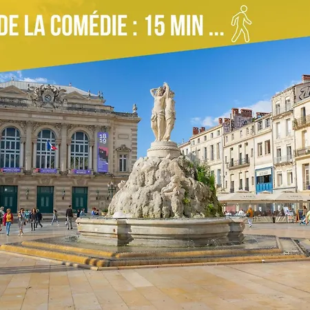 Apartmán Amja Proche Clinique Saint-roch 3 3 Salles De Bain Parking Gratuit Ideal Famille Groupe Coworking 10 Min Centre 10 Min 5 Min Sortie Autoroute *