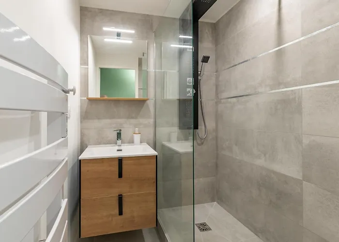 Apartman Amja Proche Clinique Saint-roch 3 3 Salles De Bain Parking Gratuit Ideal Famille Groupe Coworking 10 Min Centre 10 Min 5 Min Sortie Autoroute