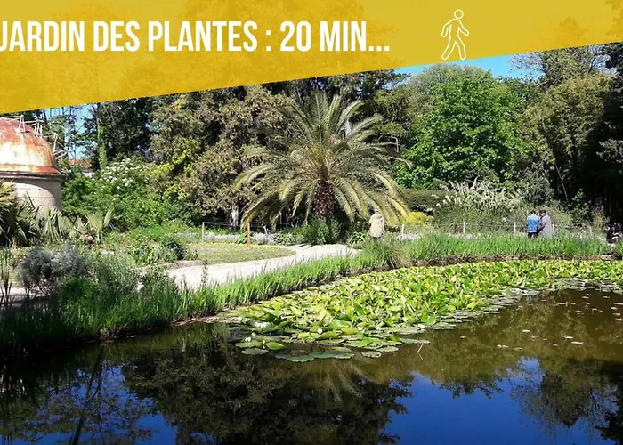 Amja Proche Clinique Saint-roch 3 3 Salles De Bain Parking Gratuit Ideal Famille Groupe Coworking 10 Min Centre 10 Min 5 Min Sortie Autoroute Apartman