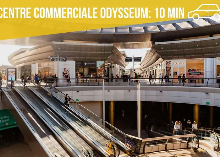 Apartman Amja Proche Clinique Saint-roch 3 3 Salles De Bain Parking Gratuit Ideal Famille Groupe Coworking 10 Min Centre 10 Min 5 Min Sortie Autoroute *