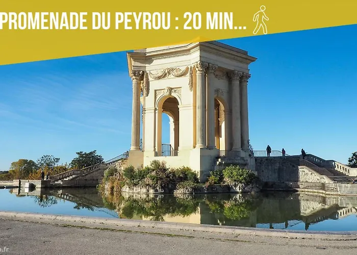 Amja Proche Clinique Saint-roch 3 3 Salles De Bain Parking Gratuit Ideal Famille Groupe Coworking 10 Min Centre 10 Min 5 Min Sortie Autoroute *