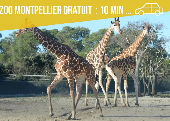 Amja Proche Clinique Saint-roch 3 3 Salles De Bain Parking Gratuit Ideal Famille Groupe Coworking 10 Min Centre 10 Min 5 Min Sortie Autoroute Apartman *