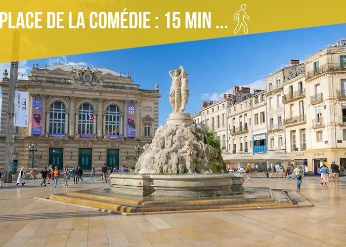 Apartman Amja Proche Clinique Saint-roch 3 3 Salles De Bain Parking Gratuit Ideal Famille Groupe Coworking 10 Min Centre 10 Min 5 Min Sortie Autoroute *